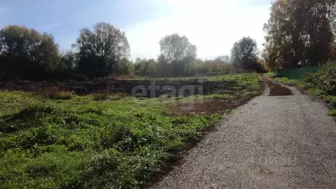 Участок в Башкортостан, Уфимский район, Зубовский сельсовет, с. Зубово ...