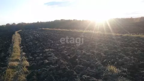 Участок в Курганская область, Шадринский муниципальный округ, с. Ключи ...