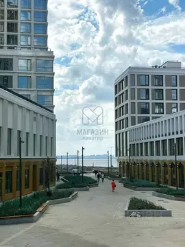 2-к кв. Санкт-Петербург ул. Челюскина, 10 (66.7 м)