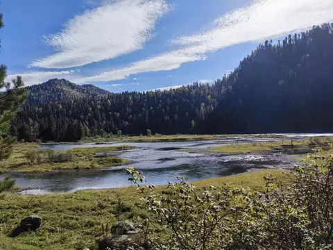 Участок в Алтай, Турочакский район, с. Артыбаш ул. Береговая (24.0 ...