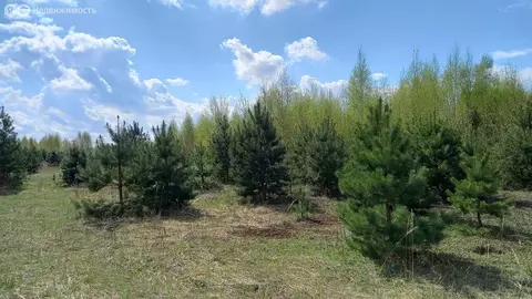 Участок в Московская область, городской округ Воскресенск, деревня ...