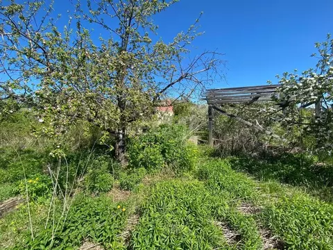 Участок в Брянская область, Брянск Черемушки садоводческое ...