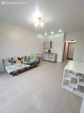 Квартира-студия: Ижевск, улица Льва Толстого, 3 (23 м)