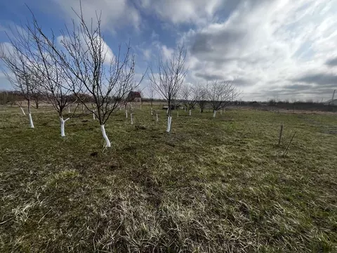 Участок в Краснодарский край, Северское с/пос, Квант СТ 158 (16.0 ...