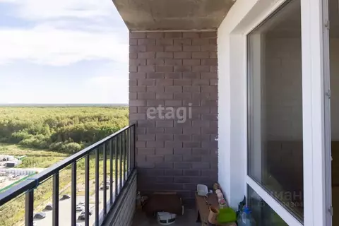 Студия Тюменская область, Тюменский муниципальный округ, д. Патрушева ...