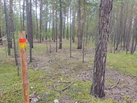 Участок, 12 сот., поселения (ижс)