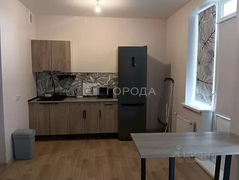 Студия Новосибирская область, Новосибирск ул. Бородина, 54 (30.8 м)