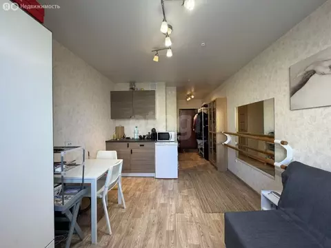 Квартира-студия: Нижний Новгород, улица Героя Жидкова, 2 (20.2 м)