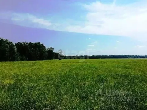 Участок в Ставропольский край, Шпаковский муниципальный округ, с. ...