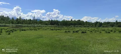 Участок в Алтай, Усть-Коксинский район, пос. Октябрьское ул. Дорожная ...