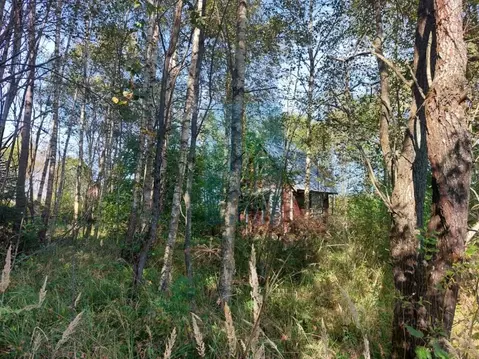 Участок в Москва Тетеринки СНТ, 3 (12.0 сот.)