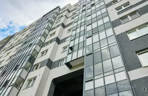 1-к кв. Санкт-Петербург ул. Пахомовская, 6к1 (31.9 м)