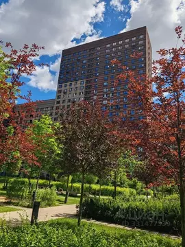 3-к кв. Москва ул. Черняховского, 19 (66.0 м)