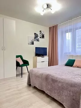 1-к кв. Пермский край, Пермь Екатерининская ул., 184 (25.0 м)