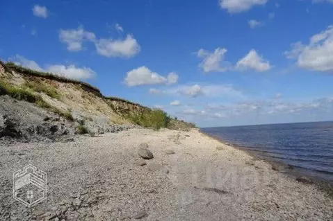 Участок в Новгородская область, Старорусский район, Наговское с/пос, ...