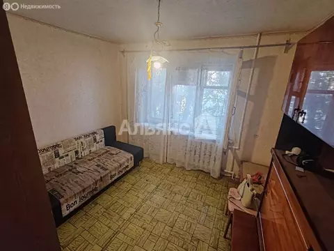 1-комнатная квартира: Волгодонск, Октябрьский переулок, 38/1 (18 м)