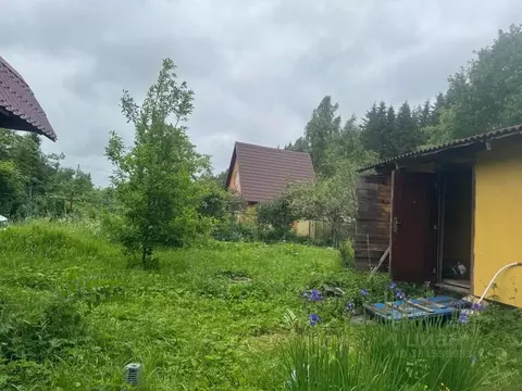 Дом в Ленинградская область, Гатчинский муниципальный округ, Дружная ...