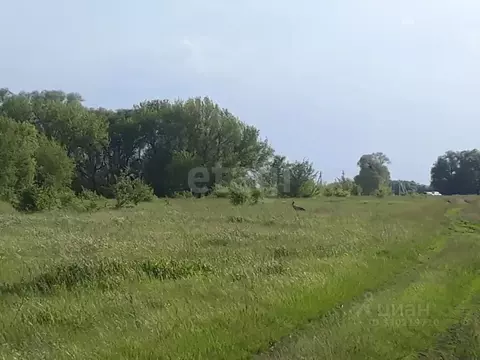 Участок в Курская область, Курск ул. Тургенева, 53 (10.0 сот.)