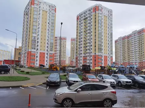 Студия Краснодарский край, Анапа ш. Супсехское, 39к17 (22.0 м)