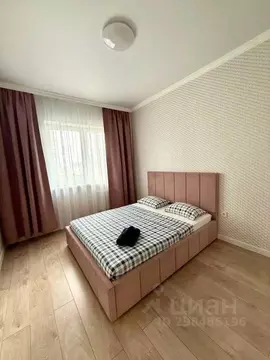 1-к кв. Башкортостан, Уфа Революционная ул., 39/3 (55.0 м)