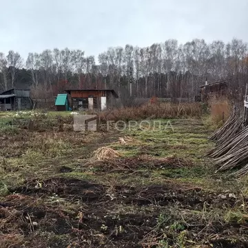 Участок в Алтайский край, Первомайский район, с. Зудилово ...