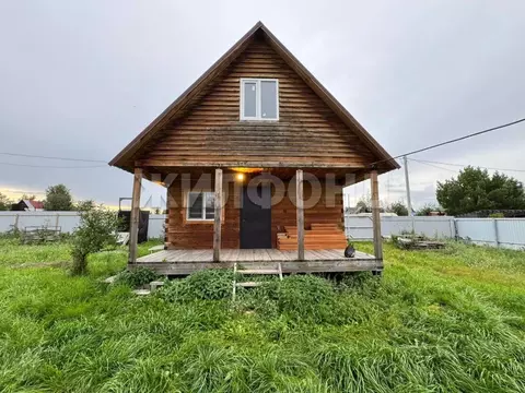 Дом в Новосибирская область, Колыванский район, Приобье СНТ  (59 м)
