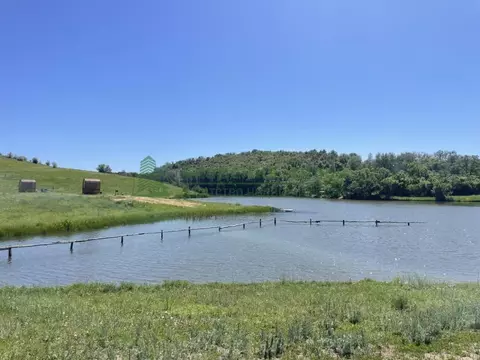Участок в Саратовская область, с. Курдюм ул. Международная (1000.0 ...