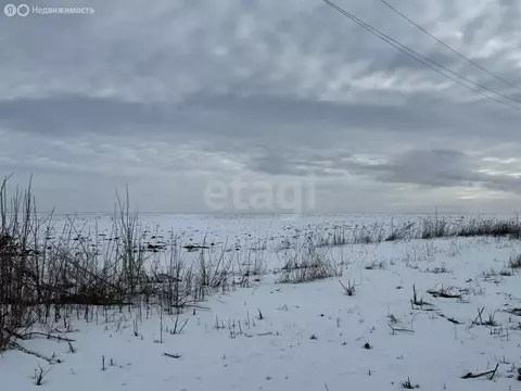 Участок в Белгородская область, Шебекинский муниципальный округ, ...