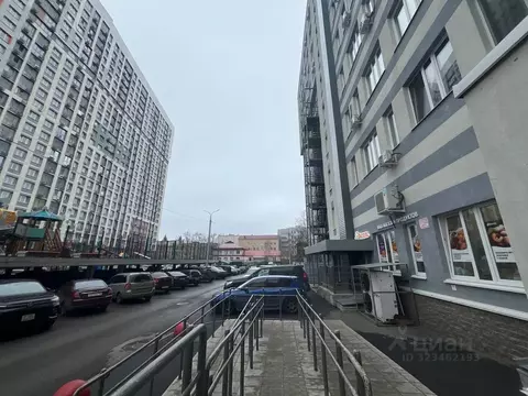 Студия Башкортостан, Уфа ул. Аксакова, 81 (27.4 м)