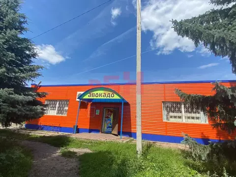 Торговая площадь в Пензенская область, Тамала рп ул. Центральная (270 ...