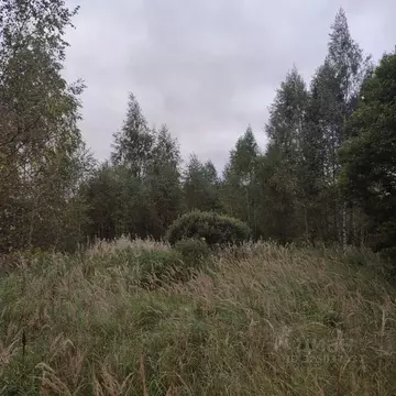 Участок в Московская область, Павлово-Посадский городской округ, д. ...