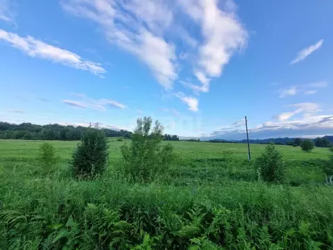 Участок в Алтай, Майминский район, Катунь СТ  (10.6 сот.)