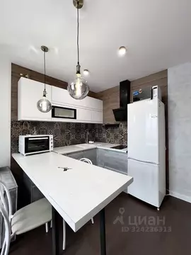 1-к кв. Новосибирская область, Новосибирск Кубовая ул., 53/1 (33.0 м)