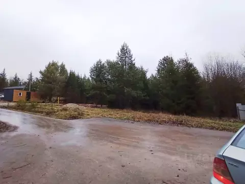 Участок в Пермский край, пос. Протасы, 23А кв-л  (11.46 сот.)