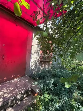 Дом в Воронежская область, Воронеж Садовод СНТ, ул. Ягодная, 5 (44 м)