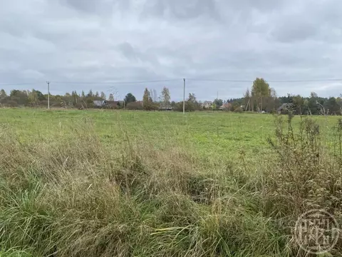 Участок в Ленинградская область, Приозерский район, Ромашкинское ...