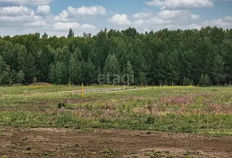 Участок в Калужская область, Жуковский муниципальный округ, с. ...