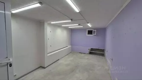 Помещение свободного назначения в Московская область, Люберцы ул. ...