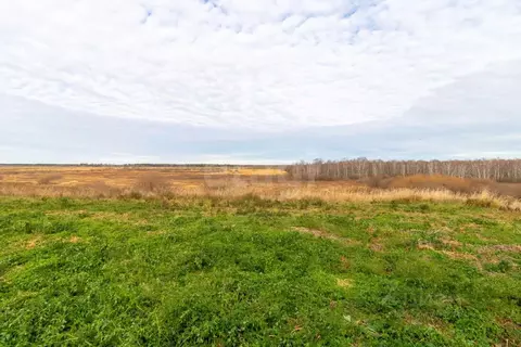 Дом в Тюменская область, Нижнетавдинский муниципальный округ, с. ...