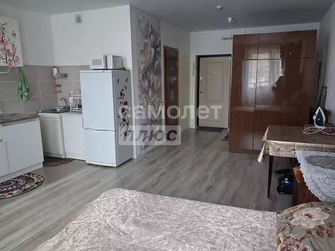 Студия Московская область, Ногинск Богородский городской округ, ул. ...