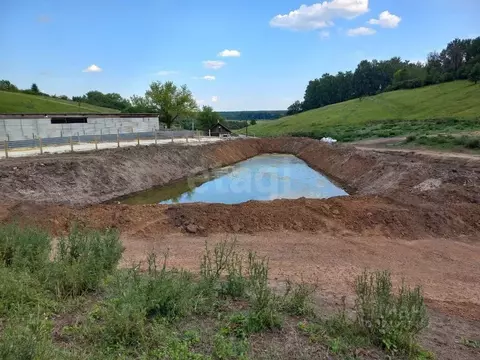 Участок в Белгородская область, Чернянский район, Орликовское с/пос, ...