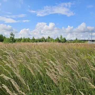 Участок в Московская область, Луховицы муниципальный округ, пос. ...