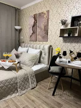 Студия Московская область, Ногинск Богородский городской округ, ул. ...