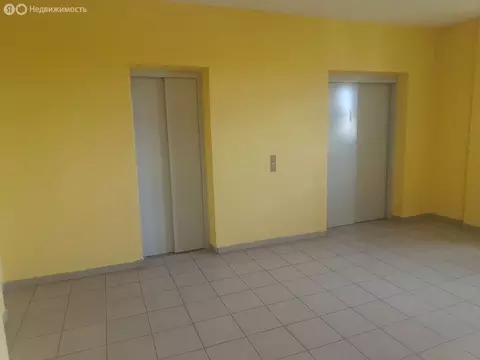 1-комнатная квартира: Санкт-Петербург, Фермское шоссе, 32 (42.4 м)