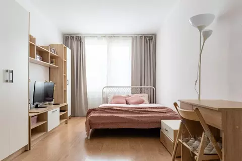 1-к кв. Санкт-Петербург ул. Вавиловых, 5К4 (31.1 м)