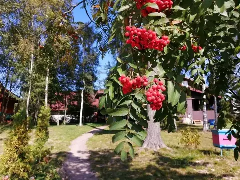 Дом в Ленинградская область, Всеволожский район, Агалатовское с/пос, ...