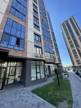 Студия Воронежская область, Воронеж Ростовская ул., 73Дк2 (21.8 м)