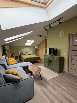 1-к кв. Санкт-Петербург остров Канонерский, 17 (30.5 м)