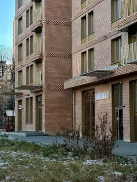 Помещение свободного назначения в Пермский край, Пермь Екатерининская ...