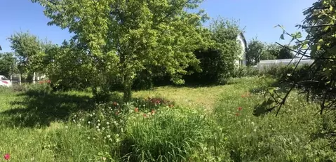 Участок в Калининградская область, Светлогорск Радуга СНТ, 13-я линия, ...